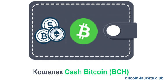     cash bitcoin
